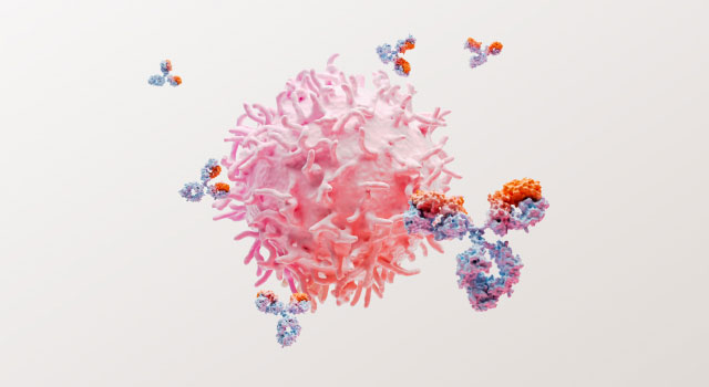 image of B-cell and BLyS